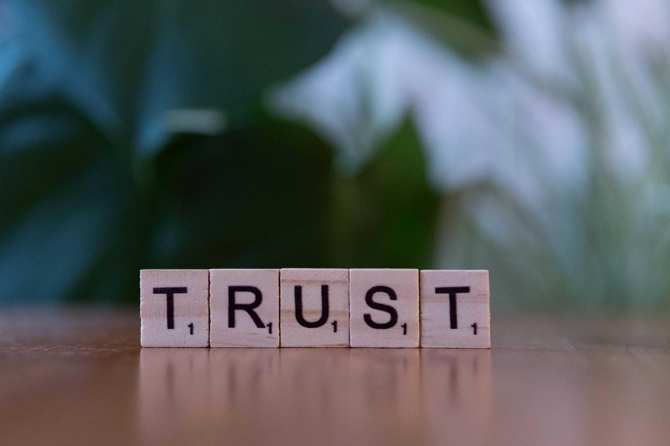 pexels-photo-30945292-30945292-1 - North Sydney Orthodontics Wooden letter tiles spelling TRUST on a wooden surface, symbolizing integrity and values.